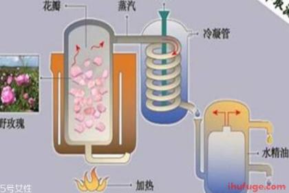 什么样的纯露最好,薰衣草纯露和精油哪个好