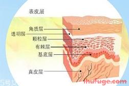 混油皮适合的水乳,适合油皮的水乳